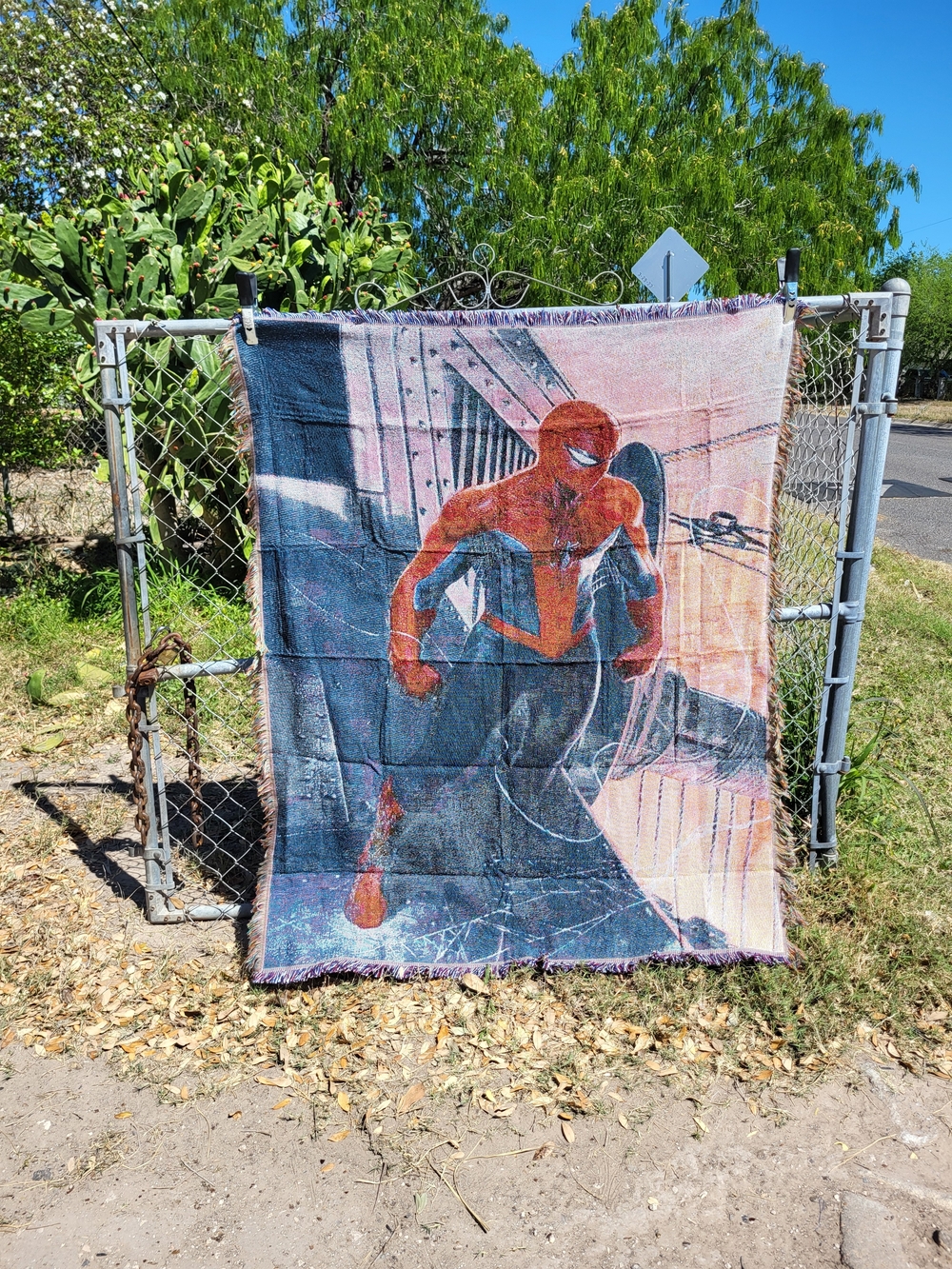 Spider-Man Graphic Comic Wall Tapestry Or Blanket